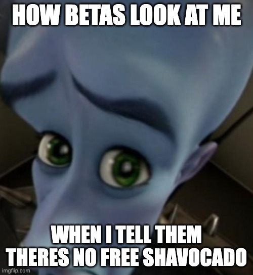 Megamind no bitches | HOW BETAS LOOK AT ME; WHEN I TELL THEM THERES NO FREE SHAVOCADO | image tagged in megamind no bitches | made w/ Imgflip meme maker