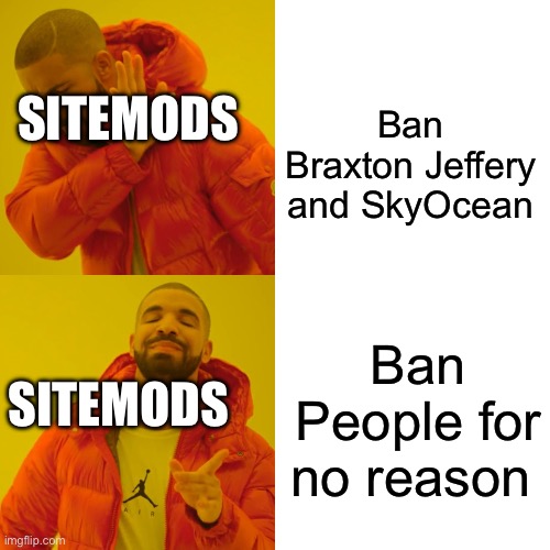 Drake Hotline Bling | Ban Braxton Jeffery and SkyOcean; SITEMODS; Ban People for no reason; SITEMODS | image tagged in memes,drake hotline bling | made w/ Imgflip meme maker