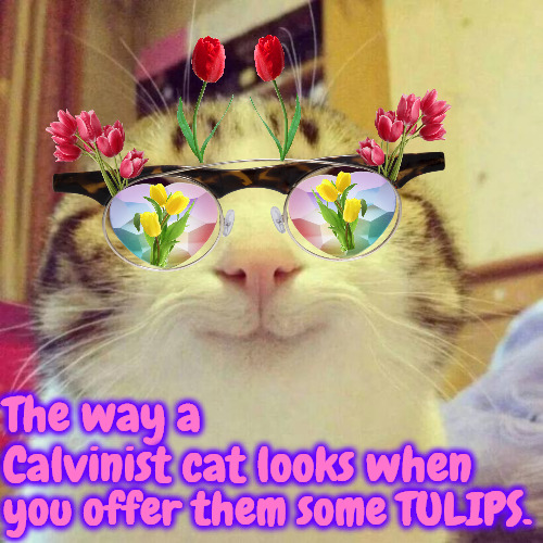 TULIP Cat | The way a Calvinist cat looks when; you offer them some TULIPS. | image tagged in smiling cat,calvinism,arminian,molinism,tulip,calvi cat | made w/ Imgflip meme maker