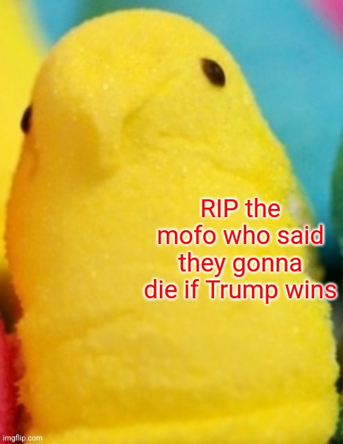 Majik Peeps | RIP the mofo who said they gonna die if Trump wins | image tagged in majik peeps | made w/ Imgflip meme maker