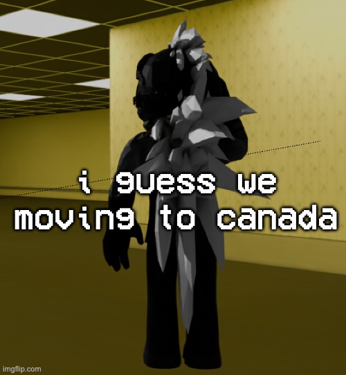 i really dont give a shit about who wins but ig my family does | i guess we moving to canada | image tagged in backroom template | made w/ Imgflip meme maker