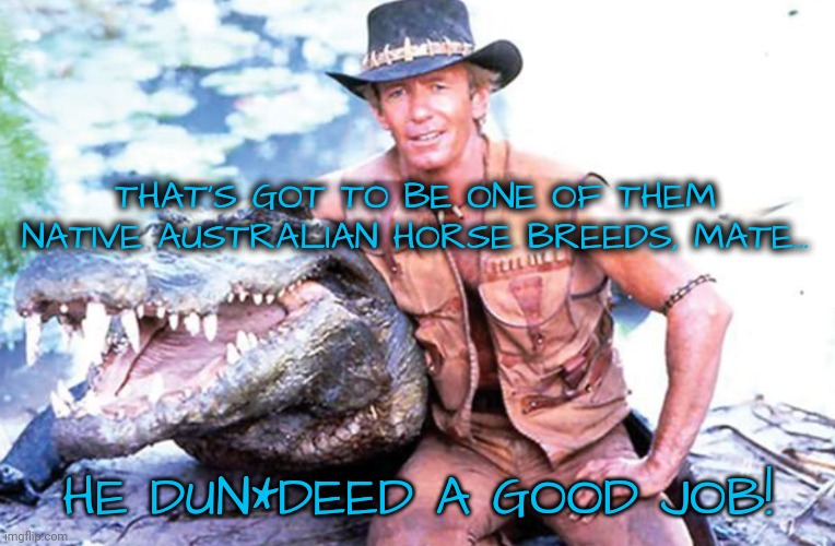 THAT'S GOT TO BE ONE OF THEM NATIVE AUSTRALIAN HORSE BREEDS, MATE... HE DUN*DEED A GOOD JOB! | made w/ Imgflip meme maker