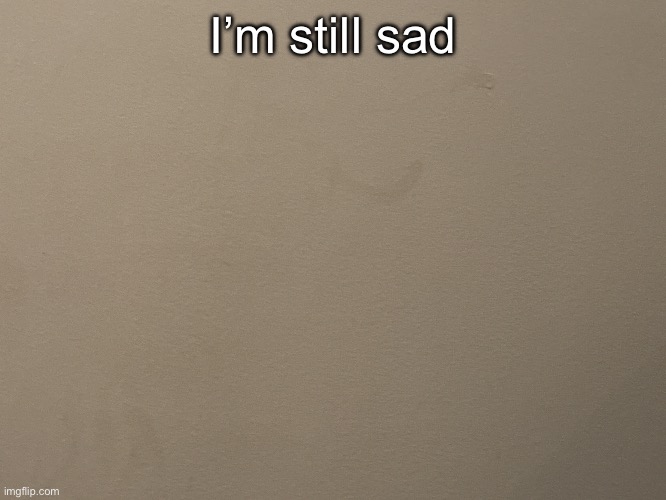 Tako Wall Reveal | I’m still sad | image tagged in tako wall reveal | made w/ Imgflip meme maker