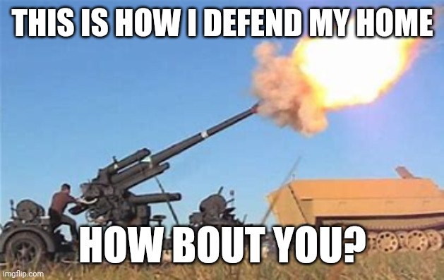 Flak gun | THIS IS HOW I DEFEND MY HOME; HOW BOUT YOU? | image tagged in flak gun | made w/ Imgflip meme maker