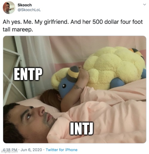 F*ck norms | ENTP; INTJ | image tagged in ah yes me my girlfriend and her,intj,entp,mbti,myers briggs,memes | made w/ Imgflip meme maker
