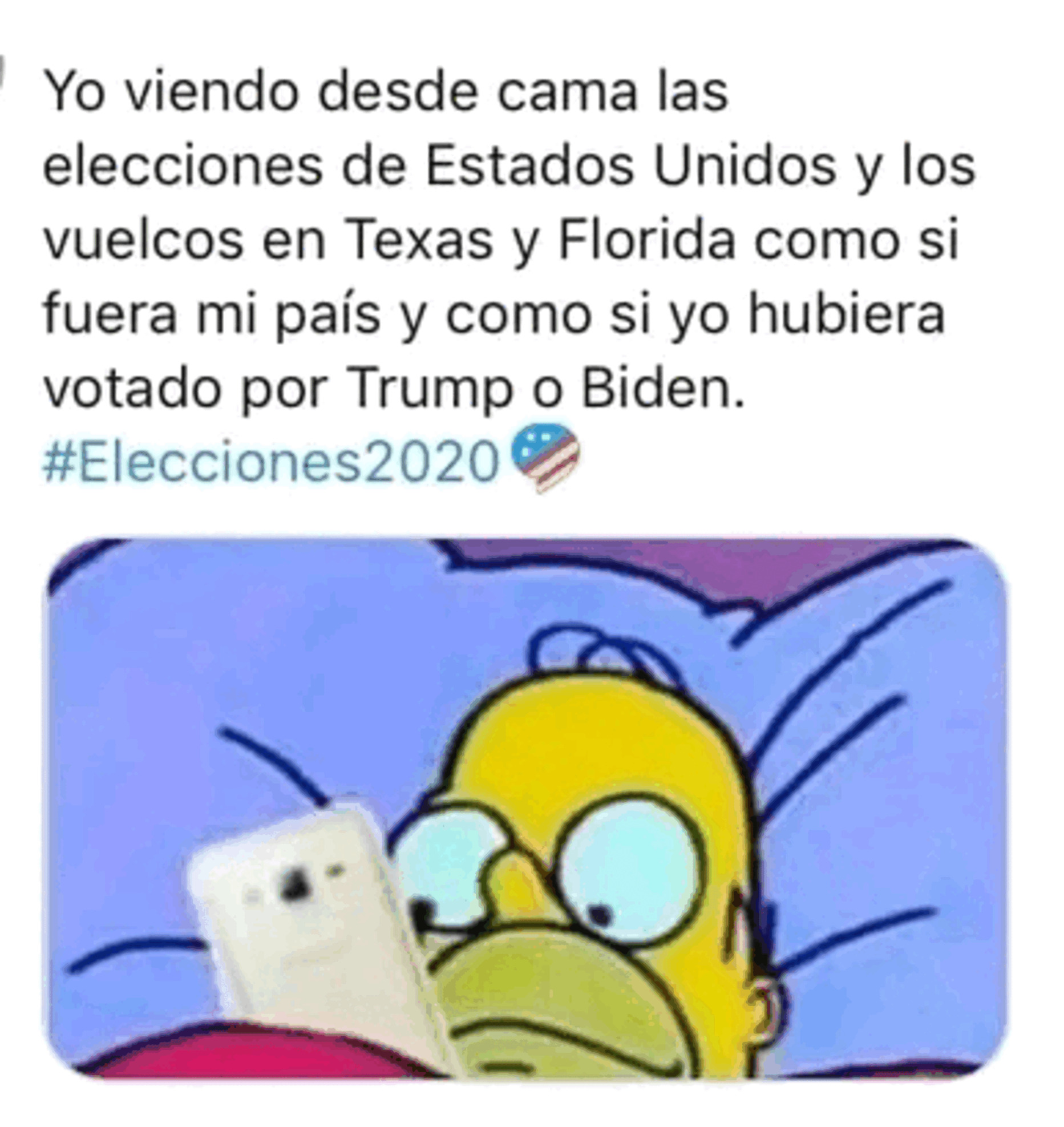 Homero simpson viendo elecciones de usa eeuu en celular Blank Meme Template