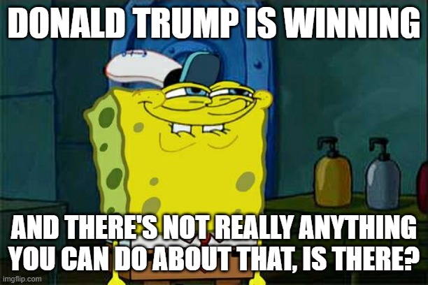 America Is Being Taken Back | DONALD TRUMP IS WINNING; AND THERE'S NOT REALLY ANYTHING YOU CAN DO ABOUT THAT, IS THERE? | image tagged in memes,don't you squidward | made w/ Imgflip meme maker