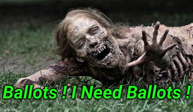 Walking Dead Zombie | Ballots ! I Need Ballots ! | image tagged in walking dead zombie | made w/ Imgflip meme maker