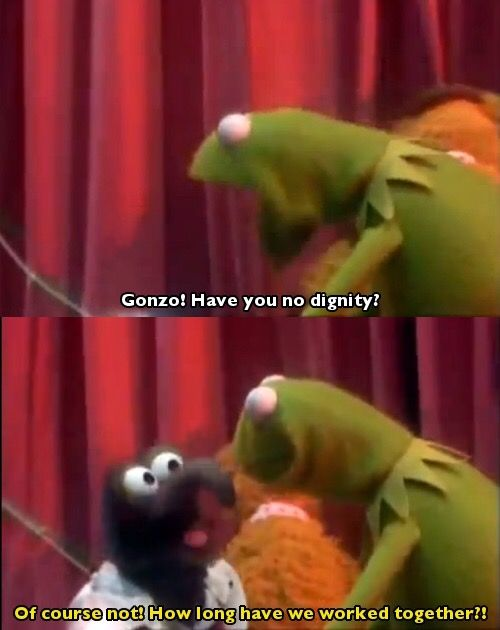 High Quality Gonzo Has No Dignity Blank Meme Template