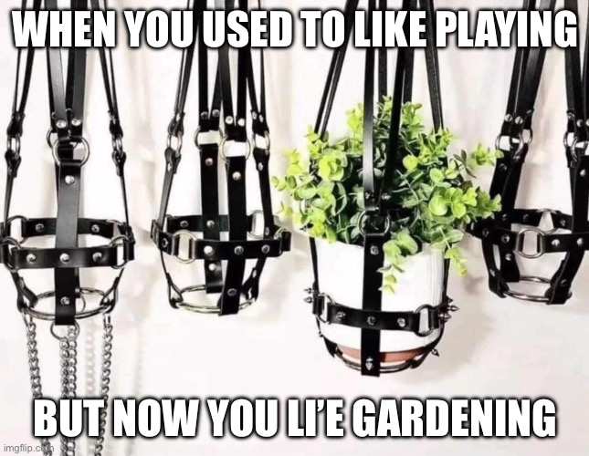 A new game | WHEN YOU USED TO LIKE PLAYING; BUT NOW YOU LI’E GARDENING | image tagged in gardening,playing,bdsm,bondage bdsm | made w/ Imgflip meme maker