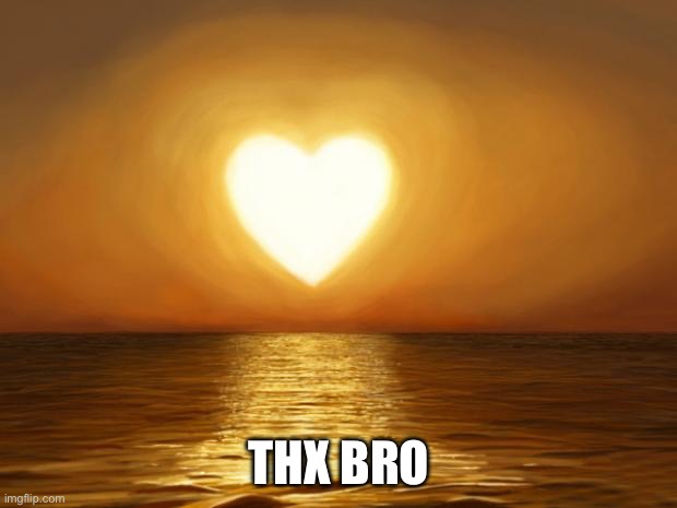 Love | THX BRO | image tagged in love | made w/ Imgflip meme maker