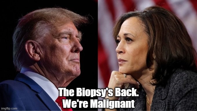 The Biopsy's Back | The Biopsy's Back.
We're Malignant | image tagged in biopsy,trump,malignant,malignancy,malignant messiah,his malignancy | made w/ Imgflip meme maker