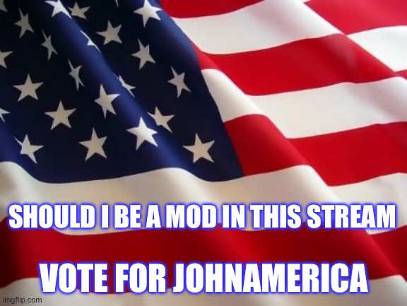 #VoteJohnAmerica | SHOULD I BE A MOD IN THIS STREAM; VOTE FOR JOHNAMERICA | image tagged in american flag | made w/ Imgflip meme maker