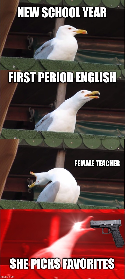 whyyyy | NEW SCHOOL YEAR; FIRST PERIOD ENGLISH; FEMALE TEACHER; SHE PICKS FAVORITES | image tagged in memes,inhaling seagull | made w/ Imgflip meme maker