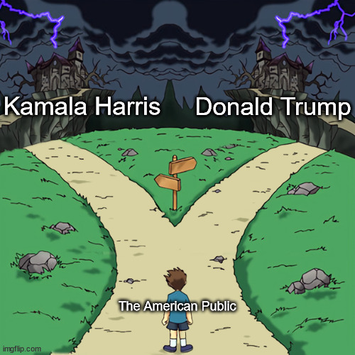 Don't get too excited | Kamala Harris; Donald Trump; The American Public | image tagged in two paths,election,kamala harris,donald trump,future,2024 | made w/ Imgflip meme maker