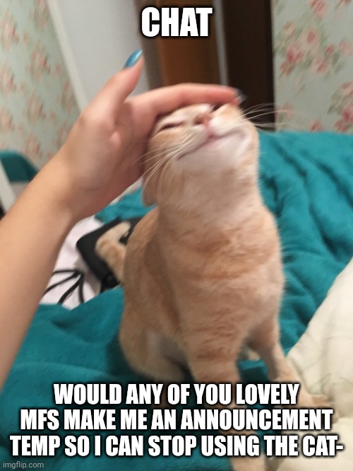 :3 | CHAT; WOULD ANY OF YOU LOVELY MFS MAKE ME AN ANNOUNCEMENT TEMP SO I CAN STOP USING THE CAT- | image tagged in cat pat | made w/ Imgflip meme maker