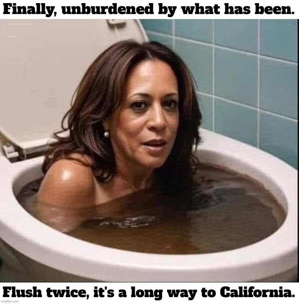 Is Kamala trying to drown her sorrows? | image tagged in crush the commies,flush the commies,flush the toilet,shit for brains,shitpost,shitstain | made w/ Imgflip meme maker