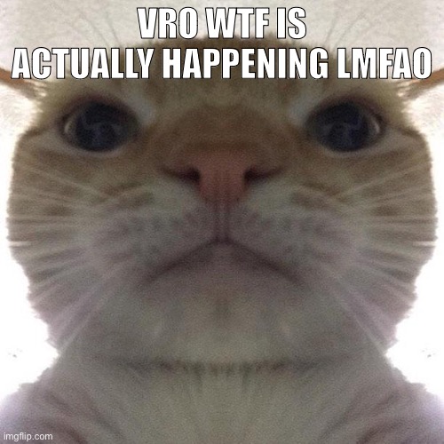 Staring Cat/Gusic | VRO WTF IS ACTUALLY HAPPENING LMFAO | image tagged in staring cat/gusic | made w/ Imgflip meme maker