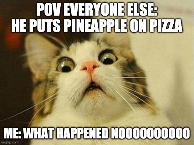 Scared Cat | POV EVERYONE ELSE: HE PUTS PINEAPPLE ON PIZZA; ME: WHAT HAPPENED NOOOOOOOOOO | image tagged in memes,scared cat | made w/ Imgflip meme maker