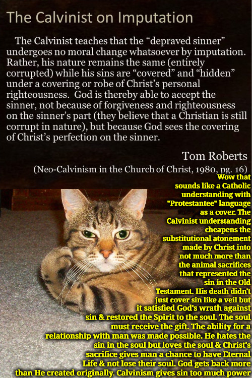 They Cheapen The Atonement | Wow that sounds like a Catholic understanding with "Protestantee" language as a cover. The Calvinist understanding cheapens the substitutional atonement made by Christ into not much more than the animal sacrifices that represented the sin in the Old Testament. His death didn't just cover sin like a veil but; it satisfied God's wrath against sin & restored the Spirit to the soul. The soul must receive the gift. The ability for a relationship with man was made possible. He hates the sin in the soul but loves the soul & Christ's sacrifice gives man a chance to have Eternal Life & not lose their soul. God gets back more than He created originally. Calvinism gives sin too much power | image tagged in calvinism,arminian,molinism,they cheapen it like catholicism,his atonement brought actual life,a human soul is more than sin | made w/ Imgflip meme maker