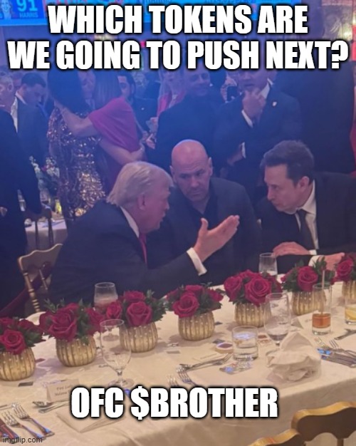 brothers in the room | WHICH TOKENS ARE WE GOING TO PUSH NEXT? OFC $BROTHER | image tagged in memes | made w/ Imgflip meme maker