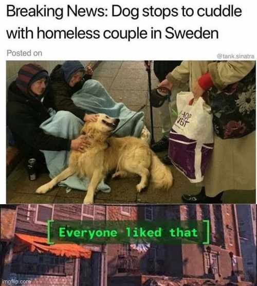 Too wholesome! | image tagged in everybody liked that | made w/ Imgflip meme maker