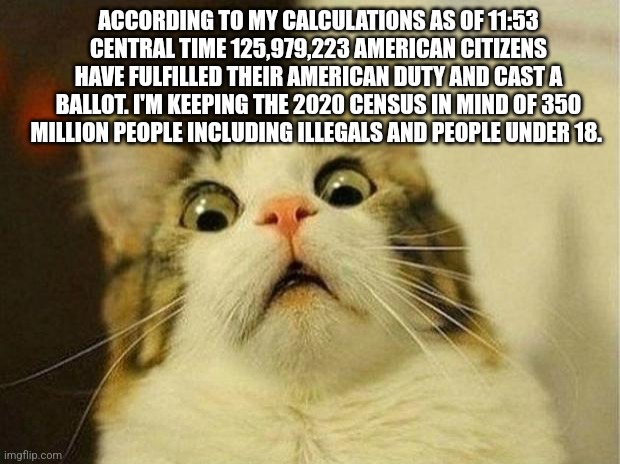 Scared Cat | ACCORDING TO MY CALCULATIONS AS OF 11:53 CENTRAL TIME 125,979,223 AMERICAN CITIZENS HAVE FULFILLED THEIR AMERICAN DUTY AND CAST A BALLOT. I'M KEEPING THE 2020 CENSUS IN MIND OF 350 MILLION PEOPLE INCLUDING ILLEGALS AND PEOPLE UNDER 18. | image tagged in memes,scared cat | made w/ Imgflip meme maker