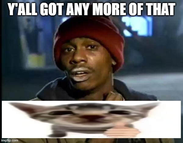 yall got any more of that gato | Y'ALL GOT ANY MORE OF THAT | image tagged in memes,y'all got any more of that | made w/ Imgflip meme maker