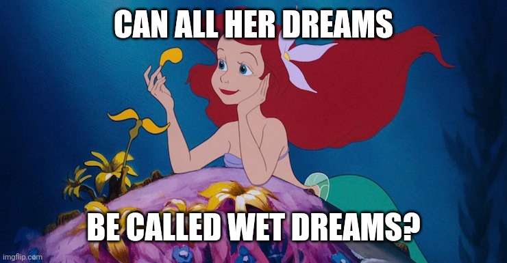 A question about Ariel | CAN ALL HER DREAMS; BE CALLED WET DREAMS? | image tagged in disney,ariel,the little mermaid,princess,dreams,wet dreams | made w/ Imgflip meme maker