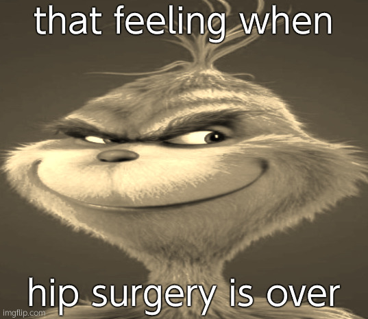 Blue Grinch | that feeling when; hip surgery is over | image tagged in blue grinch | made w/ Imgflip meme maker