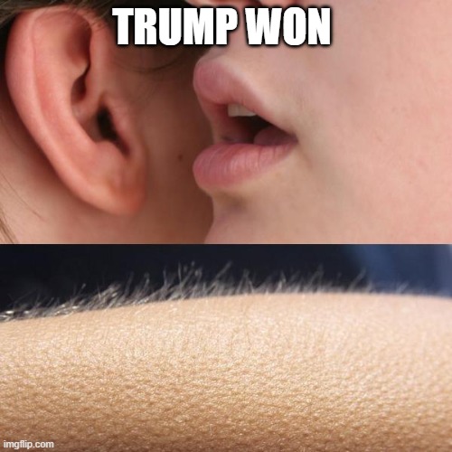 Deal with it | TRUMP WON | image tagged in whisper and goosebumps,donald trump | made w/ Imgflip meme maker