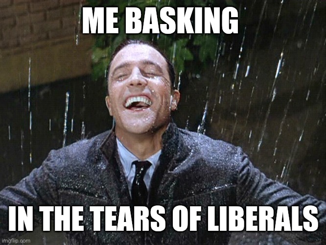 Singing in the rain face | ME BASKING; IN THE TEARS OF LIBERALS | image tagged in singing in the rain face | made w/ Imgflip meme maker