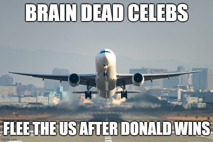 Airplane takeoff | BRAIN DEAD CELEBS; FLEE THE US AFTER DONALD WINS | image tagged in airplane takeoff | made w/ Imgflip meme maker