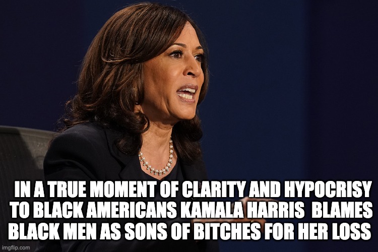 clarity and hypocrisy - rohb/rupe | IN A TRUE MOMENT OF CLARITY AND HYPOCRISY TO BLACK AMERICANS KAMALA HARRIS  BLAMES; BLACK MEN AS SONS OF BITCHES FOR HER LOSS | image tagged in kamala harris | made w/ Imgflip meme maker