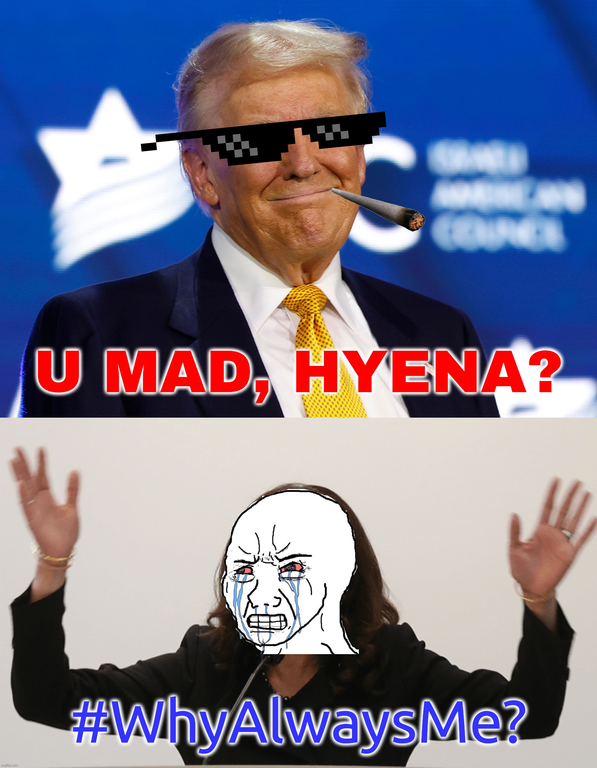 Trump clearly won, Revenge for 2020 (COVID year) | U MAD, HYENA? #WhyAlwaysMe? | image tagged in donald trump smirk,kamala constipated,kamala harris,donald trump,election 2024,memes | made w/ Imgflip meme maker