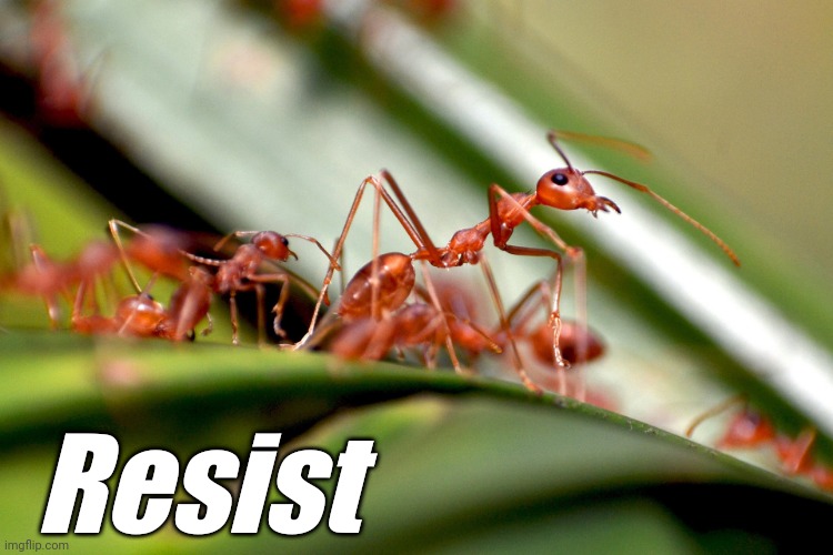 Resist | made w/ Imgflip meme maker