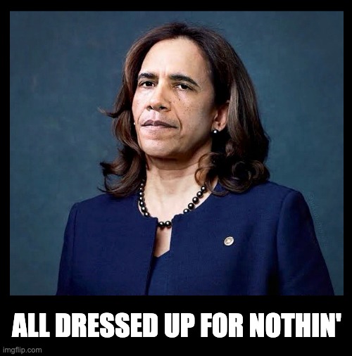 Harris Obama All Dressed up for nothing | ALL DRESSED UP FOR NOTHIN' | image tagged in harris,obama,election,trump,barack,kamala harris | made w/ Imgflip meme maker