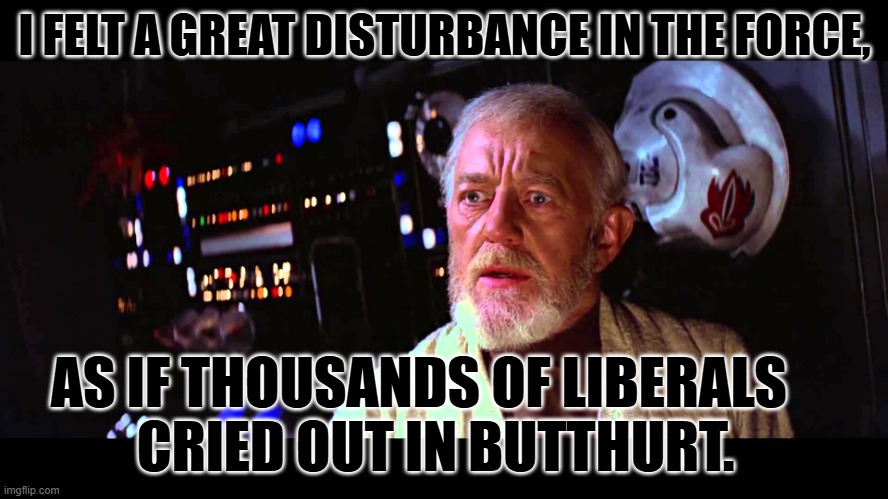 The great reeeing has begun. | I FELT A GREAT DISTURBANCE IN THE FORCE, AS IF THOUSANDS OF LIBERALS    CRIED OUT IN BUTTHURT. | image tagged in i felt a great disturbance in the force | made w/ Imgflip meme maker