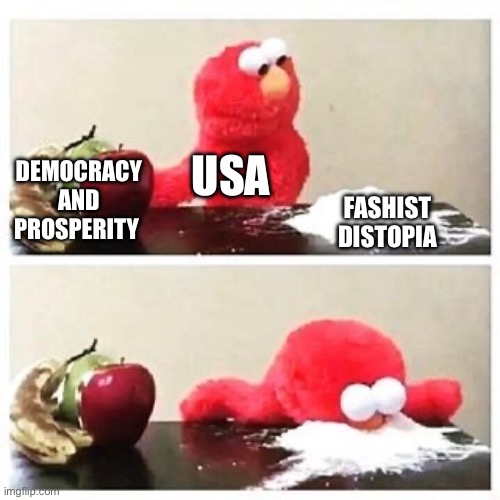 Congratulations, USA | USA; DEMOCRACY AND PROSPERITY; FASHIST DISTOPIA | image tagged in elmo cocaine | made w/ Imgflip meme maker