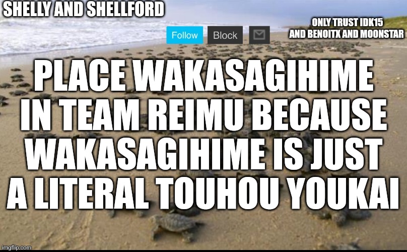 I like turtles | PLACE WAKASAGIHIME IN TEAM REIMU BECAUSE WAKASAGIHIME IS JUST A LITERAL TOUHOU YOUKAI | image tagged in i like turtles | made w/ Imgflip meme maker