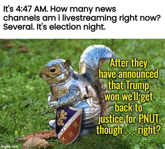 Nuts | It's 4:47 AM. How many news channels am i livestreaming right now?
Several. It's election night. After they have announced that Trump won we'll get back to justice for PNUT though . . . right? | image tagged in funny memes,election day,pnut | made w/ Imgflip meme maker