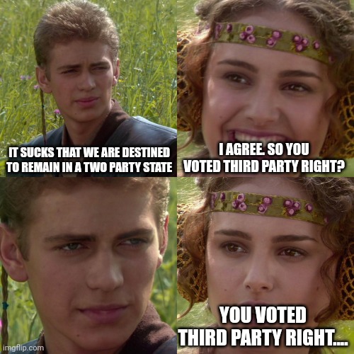 Third party | IT SUCKS THAT WE ARE DESTINED TO REMAIN IN A TWO PARTY STATE; I AGREE. SO YOU VOTED THIRD PARTY RIGHT? YOU VOTED THIRD PARTY RIGHT.... | image tagged in anakin padme 4 panel | made w/ Imgflip meme maker