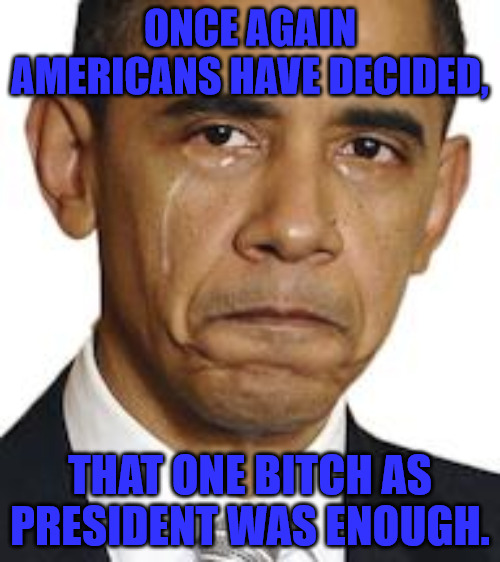 One Bitch | ONCE AGAIN AMERICANS HAVE DECIDED, THAT ONE BITCH AS PRESIDENT WAS ENOUGH. | image tagged in obama crying | made w/ Imgflip meme maker