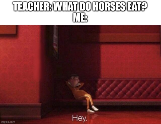 I make memes with both direction and magnets oh yah | TEACHER: WHAT DO HORSES EAT?
ME: | image tagged in hey,memes,funny,stop reading the tags,or else,barney will eat all of your delectable biscuits | made w/ Imgflip meme maker