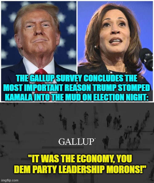 The only mystery is why it was a mystery to the Dem Party's leadership. | THE GALLUP SURVEY CONCLUDES THE MOST IMPORTANT REASON TRUMP STOMPED KAMALA INTO THE MUD ON ELECTION NIGHT:; "IT WAS THE ECONOMY, YOU DEM PARTY LEADERSHIP MORONS!" | image tagged in yep | made w/ Imgflip meme maker