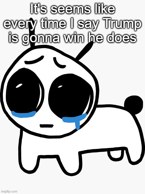 Like in 3rd grade(2016) I said it all over the place , and guess what happened | It's seems like every time I say Trump is gonna win he does | image tagged in sad yippee | made w/ Imgflip meme maker