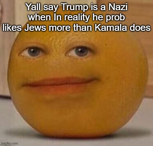 annoy orange | Yall say Trump is a Nazi when In reality he prob likes Jews more than Kamala does | image tagged in annoy orange | made w/ Imgflip meme maker