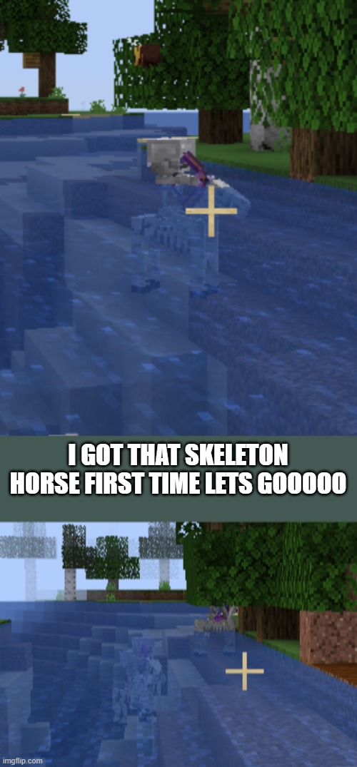 ME AND MY FREIND FREAKKED OUT | I GOT THAT SKELETON HORSE FIRST TIME LETS GOOOOO | made w/ Imgflip meme maker