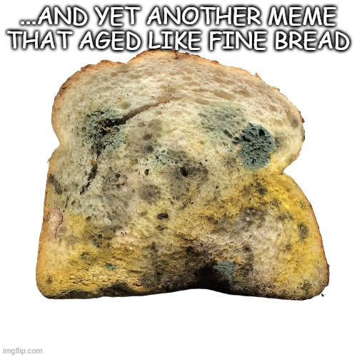 Moldy bread | ...AND YET ANOTHER MEME THAT AGED LIKE FINE BREAD | image tagged in moldy bread | made w/ Imgflip meme maker