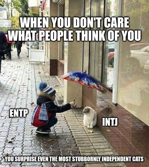 Freedom | WHEN YOU DON'T CARE WHAT PEOPLE THINK OF YOU; ENTP; INTJ; YOU SURPRISE EVEN THE MOST STUBBORNLY INDEPENDENT CATS | image tagged in kindness,cat,creative,mbti,myers briggs,personality | made w/ Imgflip meme maker